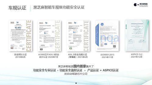 国产AB片